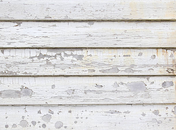 Best Moving and Downsizing Cleanouts  in Camden, AR
